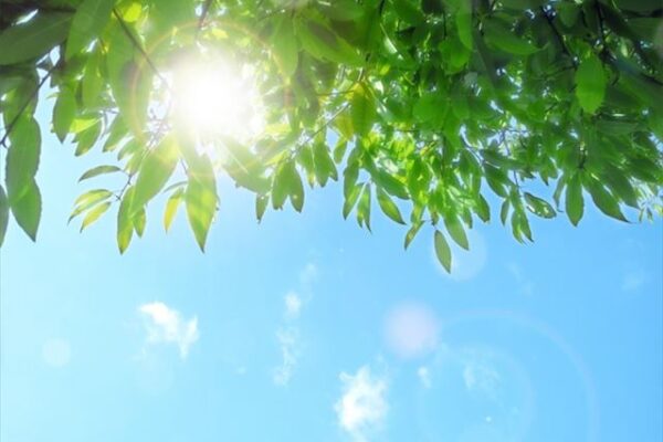 外壁塗装　三島市　函南町