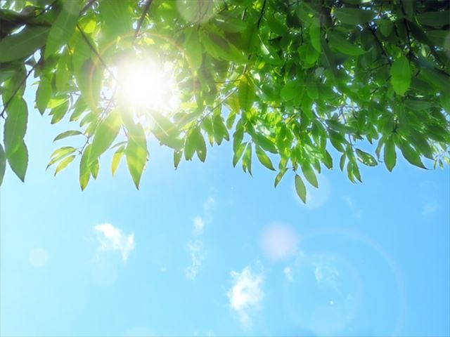 外壁塗装　三島市　函南町